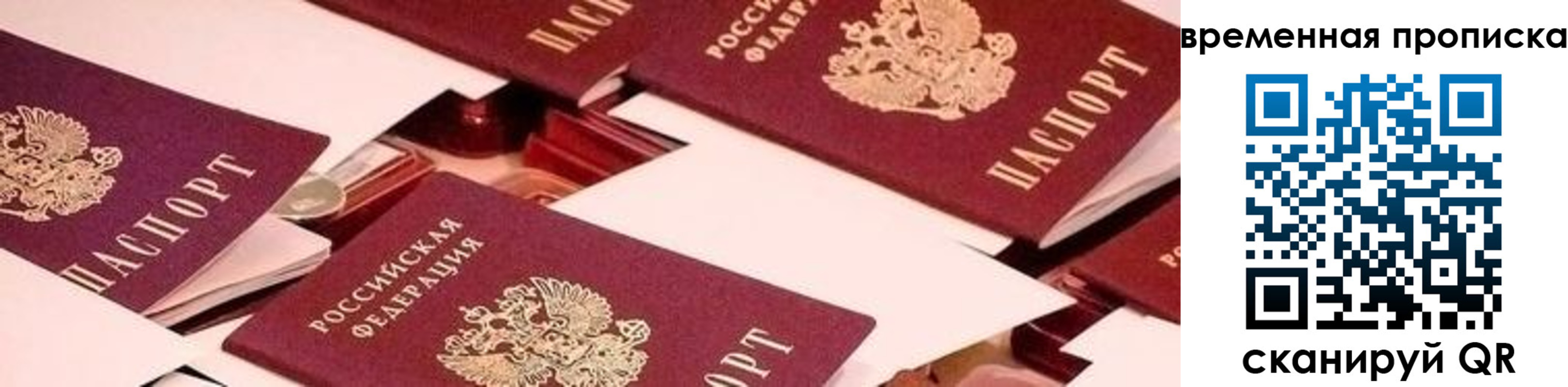 временная регистрация поиск в Братске